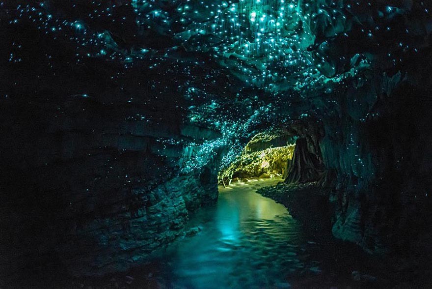 Cavernas de Gusanos Brillantes, Nueva Zelanda