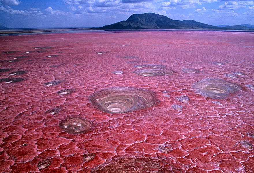 Lago Natron, Tanzania